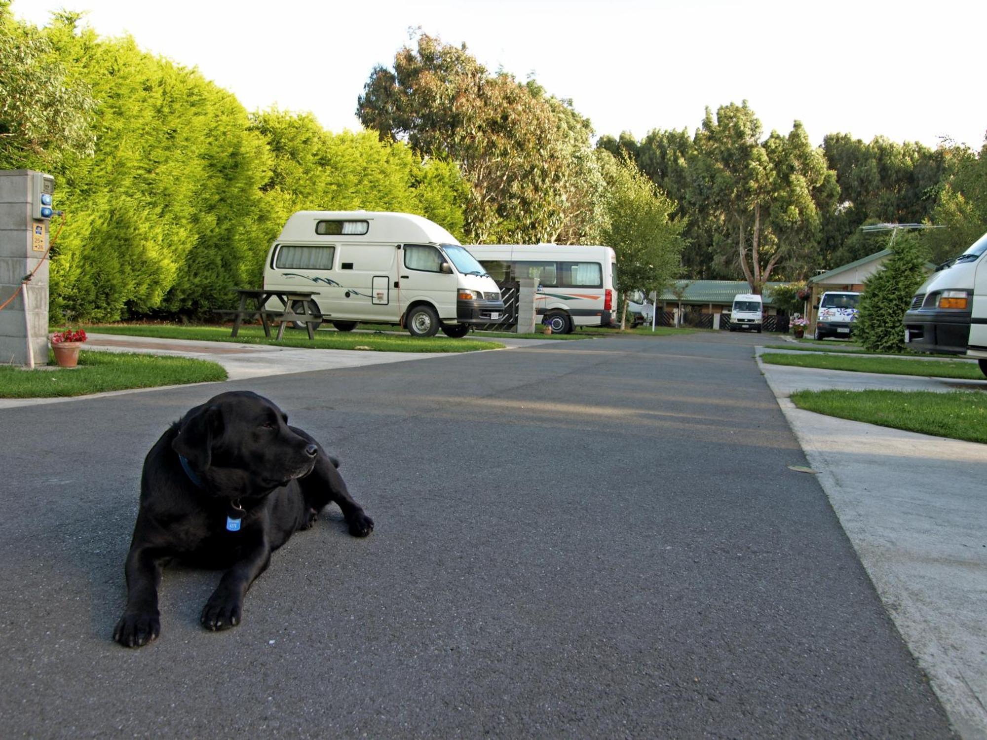 Invercargill Holiday Park & Motels Екстериор снимка